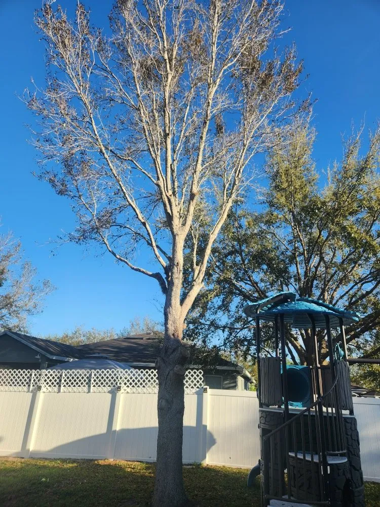 Professional landscaping services in DeBary, FL by CFL Property Preservation Services