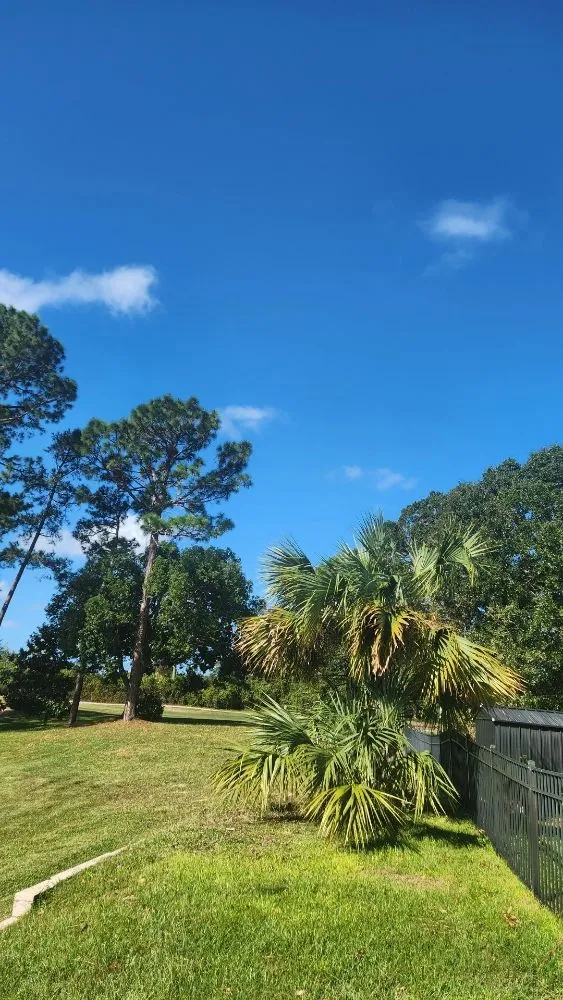 Local landscape design for beautiful yards in DeBary, FL by CFL Property Preservation Services