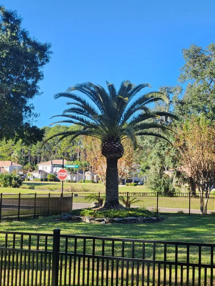 Custom landscaping services in DeBary, FL - CFL Property Preservation Services