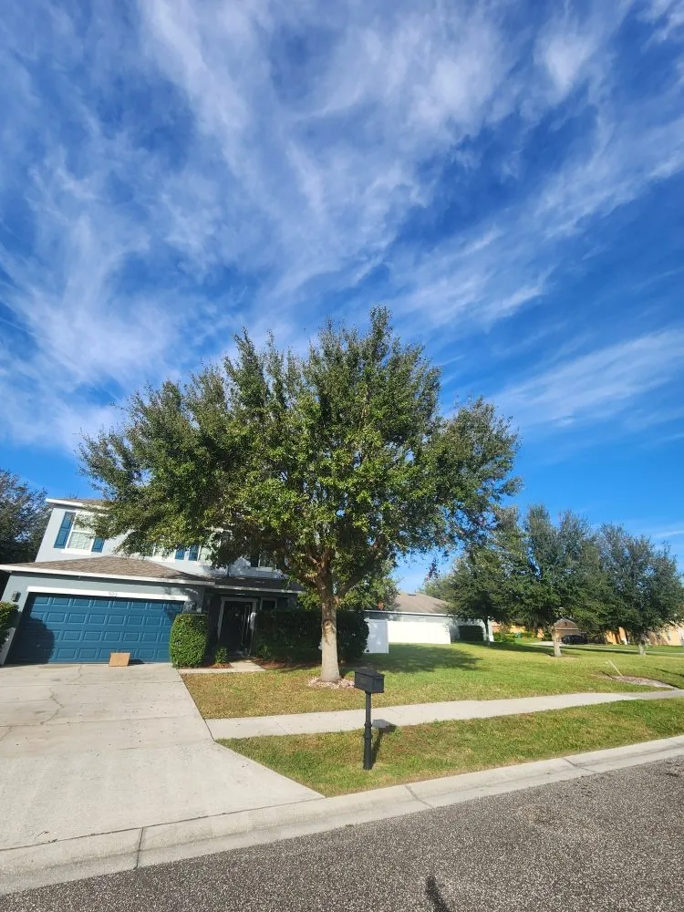 Top-rated lawn mowing service for beautiful yards in DeBary, FL by CFL Property Preservation Services