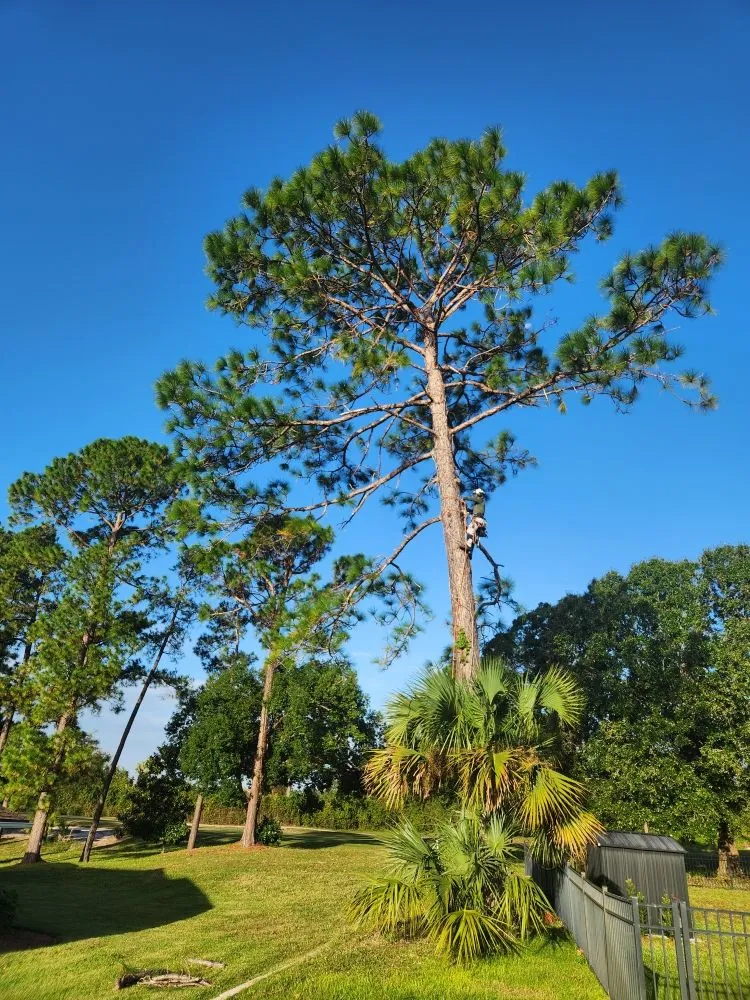 Custom yard maintenance near you in DeBary, FL by CFL Property Preservation Services