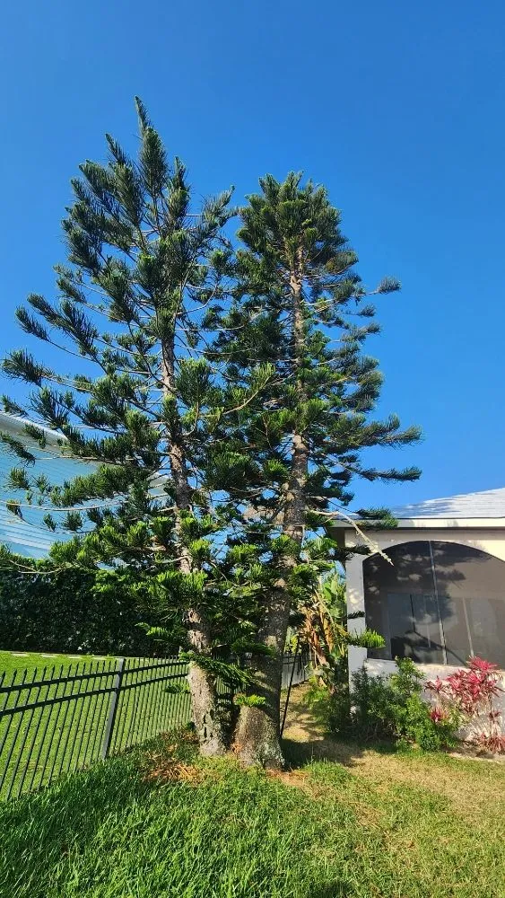 Affordable landscape installation in DeBary, FL - CFL Property Preservation Services