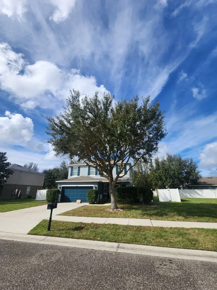 Reliable garden landscaping in DeBary, FL by CFL Property Preservation Services