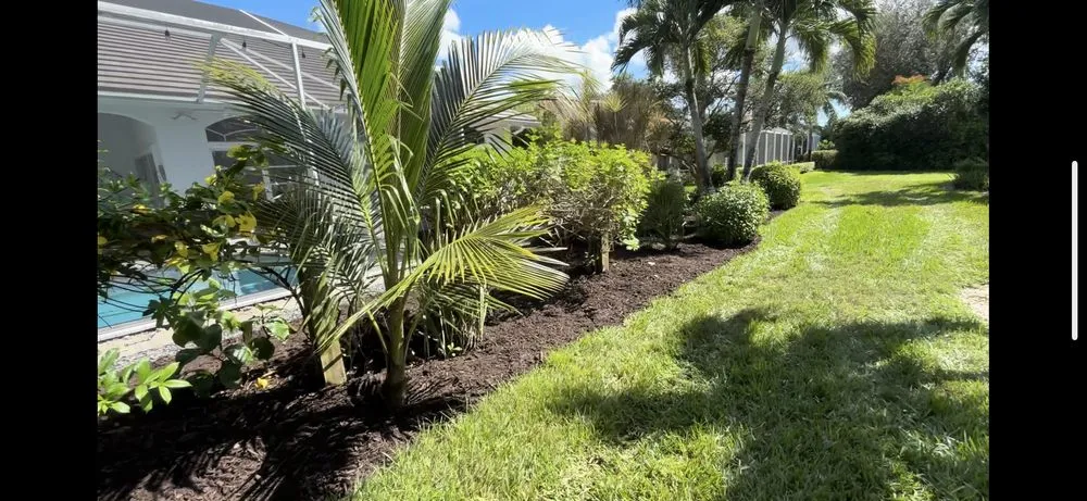 Trusted lawn care service experts serving Lehigh Acres, FL - CFM Landscaping and Lawn Care