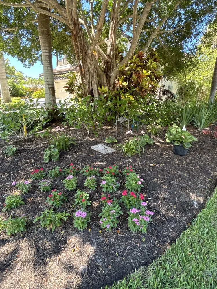 Professional residential landscaping for homes across Lehigh Acres, FL - CFM Landscaping and Lawn Care