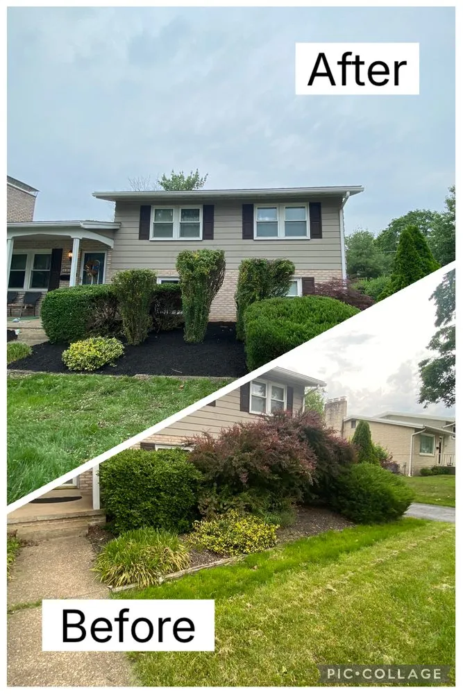 Top-rated garden landscaping for outdoor upgrades in Harrisburg, PA by CFR Landscape