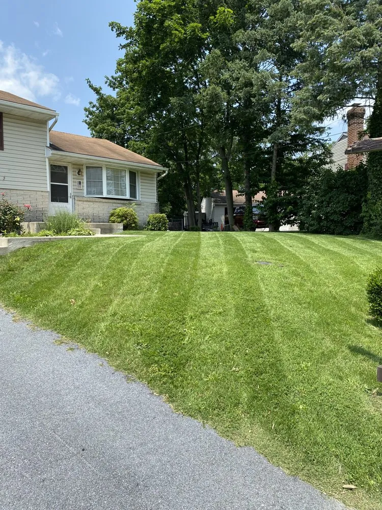 Reliable yard cleanup service for outdoor upgrades in Harrisburg, PA by CFR Landscape