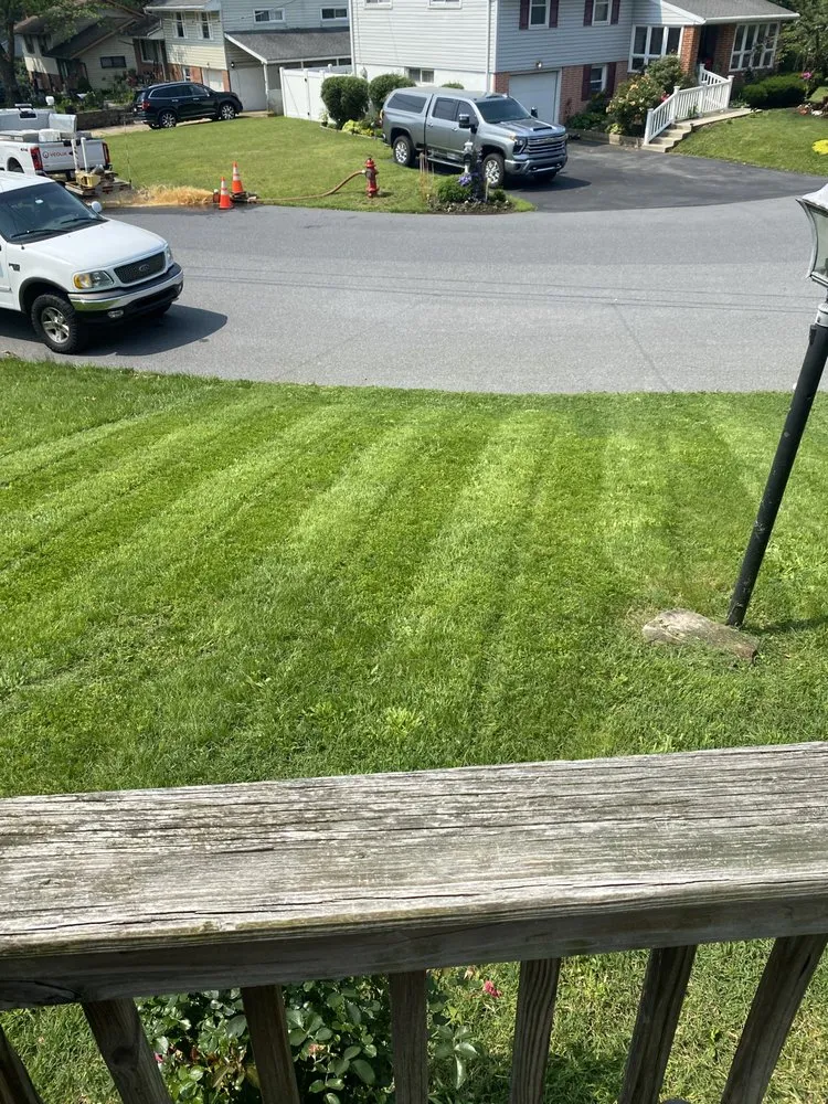 Expert yard maintenance in Harrisburg, PA - CFR Landscape