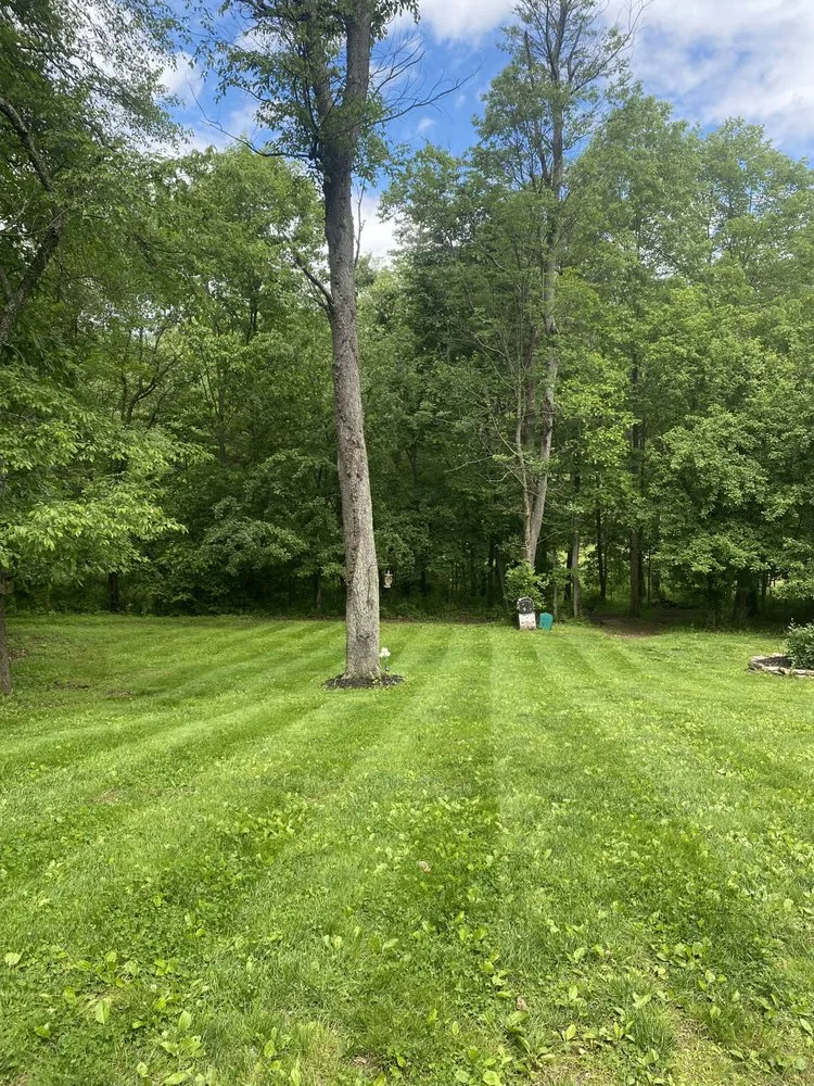 Expert yard cleanup service with custom design across Harrisburg, PA - CFR Landscape