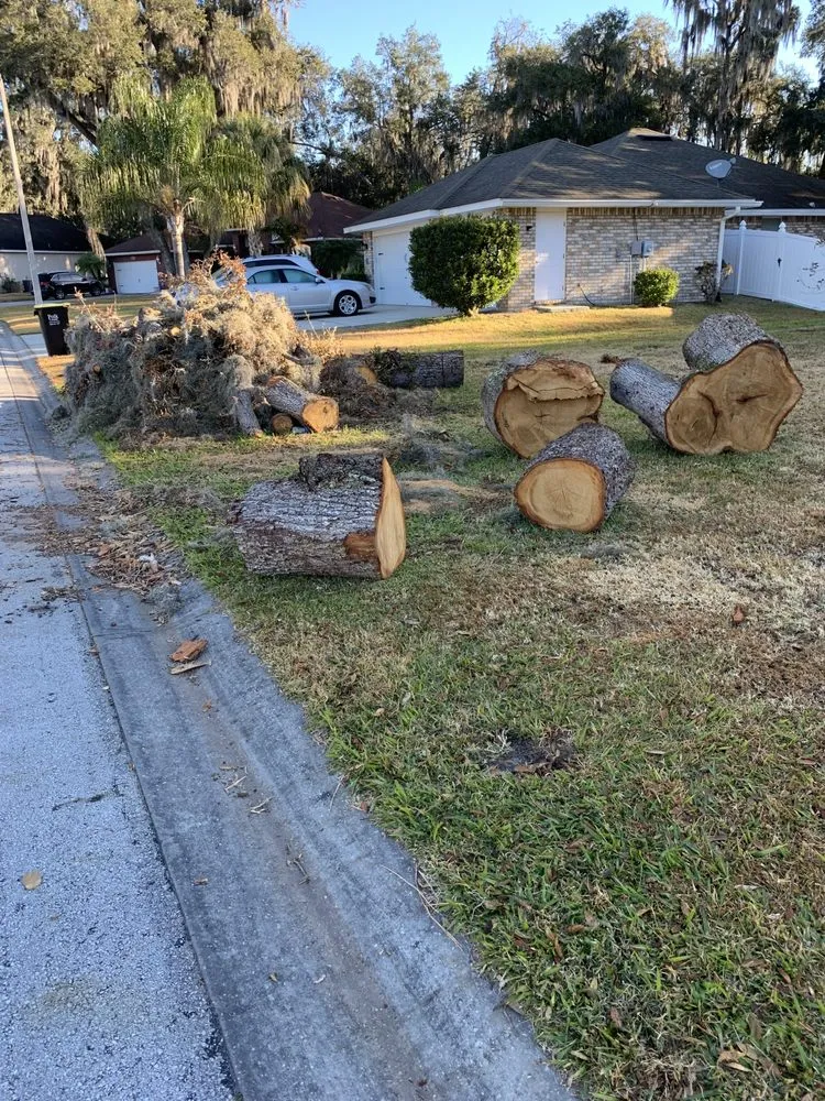 Trusted yard cleanup service for outdoor upgrades in Lakeland, FL by CFTM Land Management