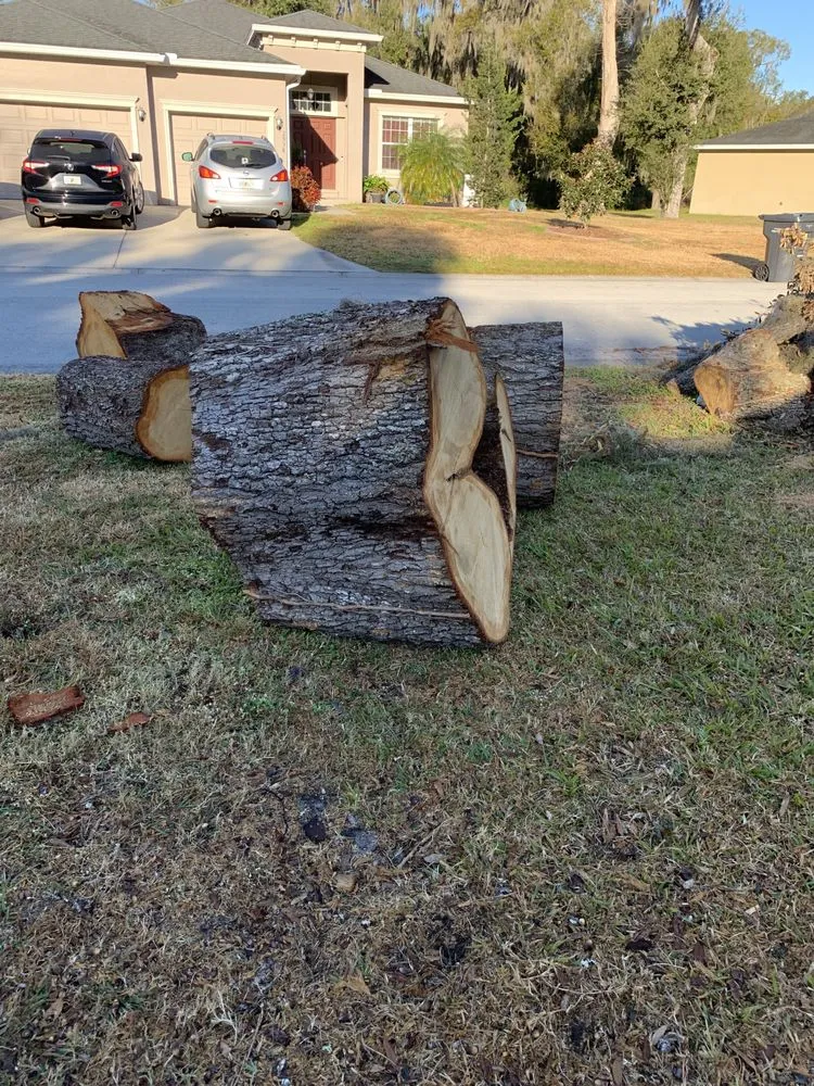 Top-rated landscaping services in Lakeland, FL by CFTM Land Management