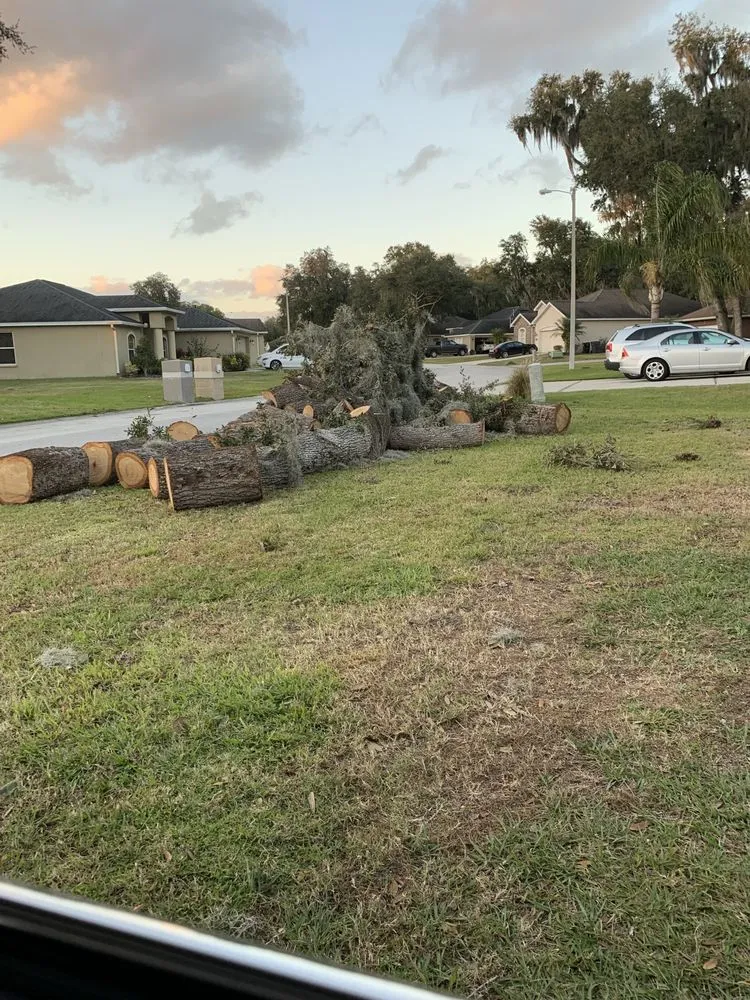 Expert lawn mowing service in Lakeland, FL - CFTM Land Management