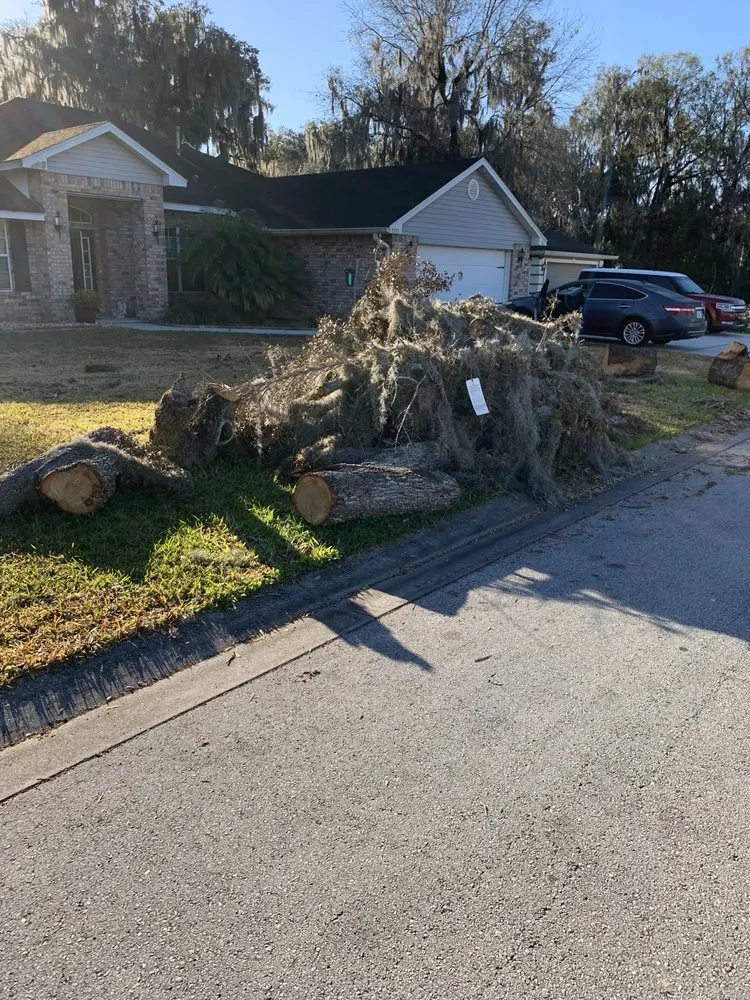 Trusted landscape installation experts serving Lakeland, FL - CFTM Land Management