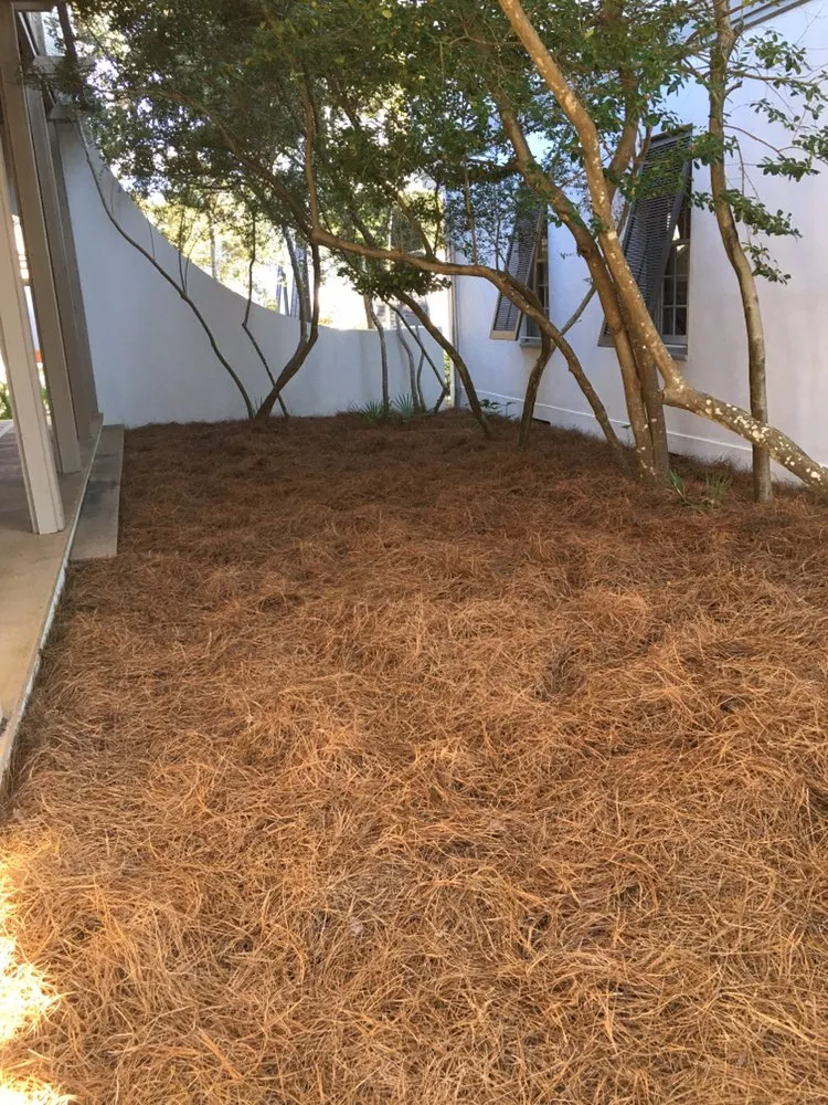 Local outdoor landscaping with custom design in Panama City, FL by C&G + More