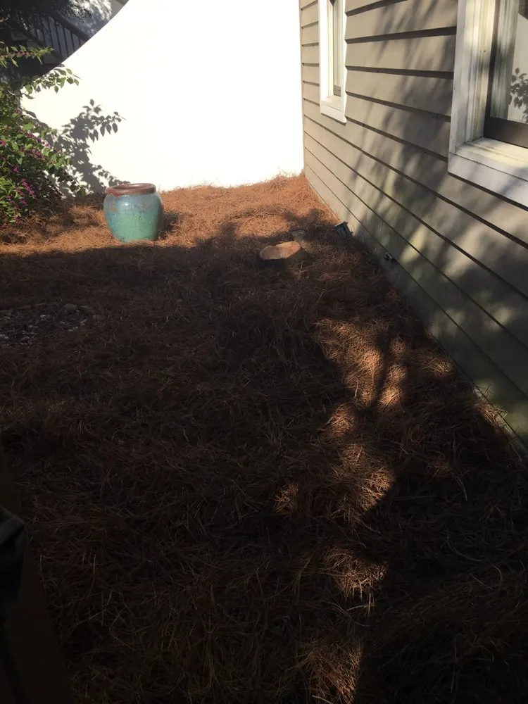 Expert outdoor landscaping in Panama City, FL - C&G + More