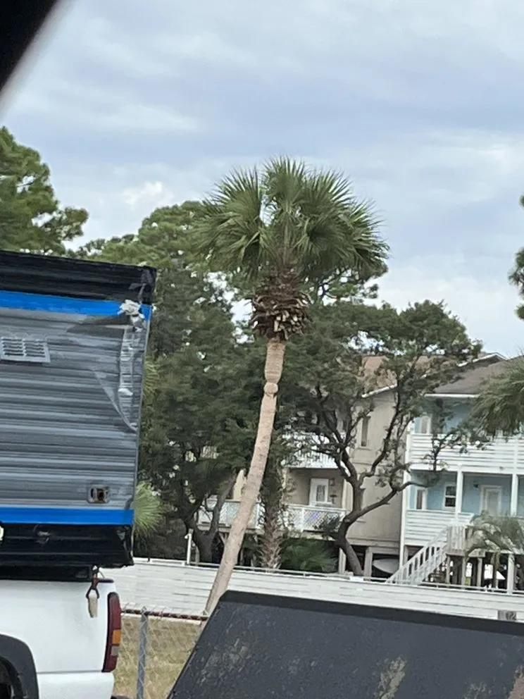 Trusted yard maintenance in Panama City, FL by C&G + More