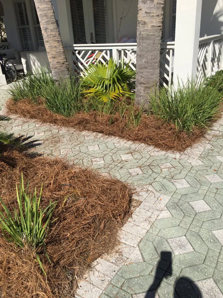 Reliable landscaping services in Panama City, FL by C&G + More