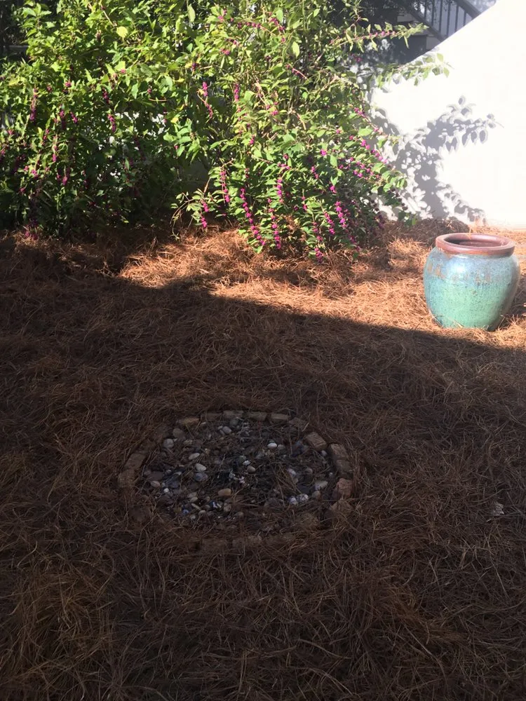 Professional landscape installation in Panama City, FL by C&G + More