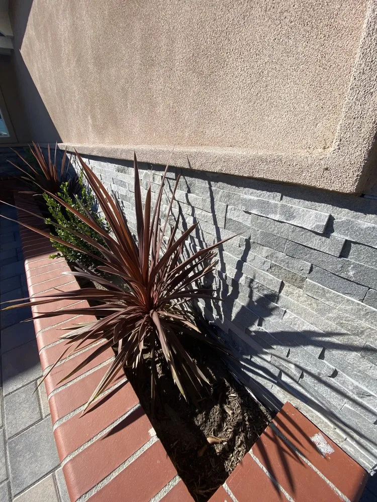 Reliable garden landscaping for outdoor upgrades across Anaheim, CA - CG Construction Landscaping Services