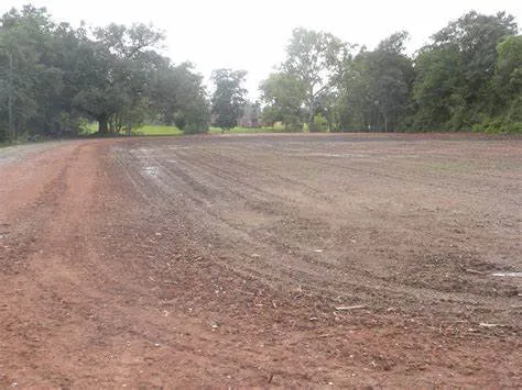 Affordable outdoor landscaping for residential properties across London, KY - CG Excavation and Landscaping