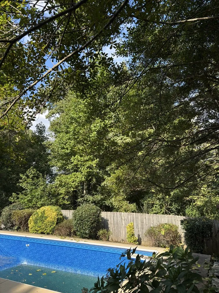 Expert residential landscaping for homes in Mint Hill, NC by CG Land & Property Works