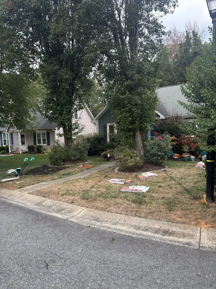 Affordable lawn care service for residential properties across Mint Hill, NC - CG Land & Property Works