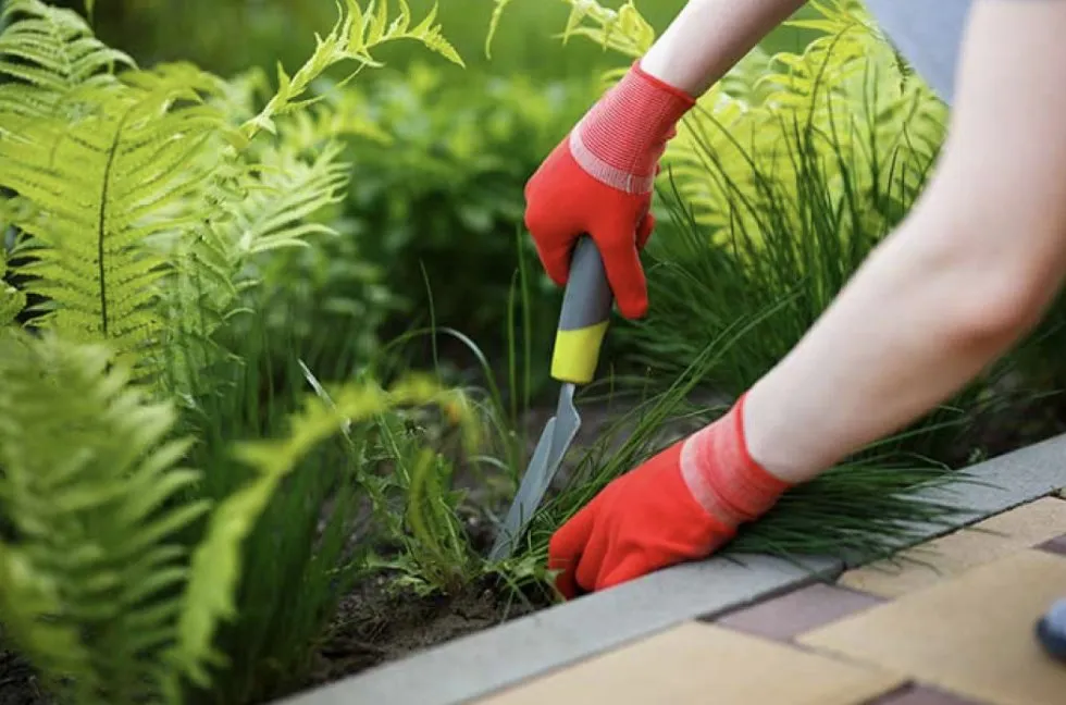 Top-rated yard cleanup service in Olivehurst, CA - C&G Landcaping Services