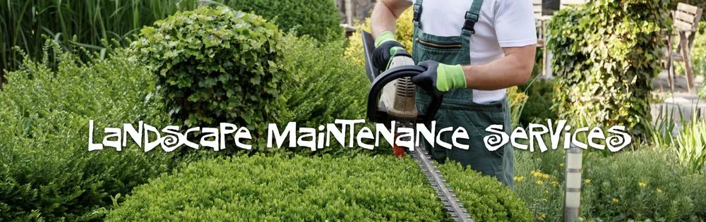 Local landscaping services for outdoor upgrades across Olivehurst, CA - C&G Landcaping Services