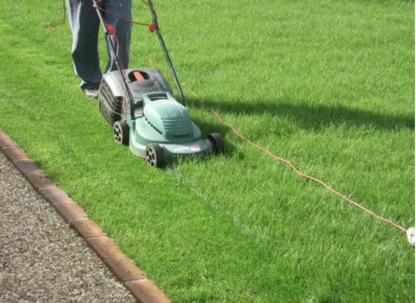 Top-rated yard cleanup service for outdoor upgrades across Olivehurst, CA - C&G Landcaping Services