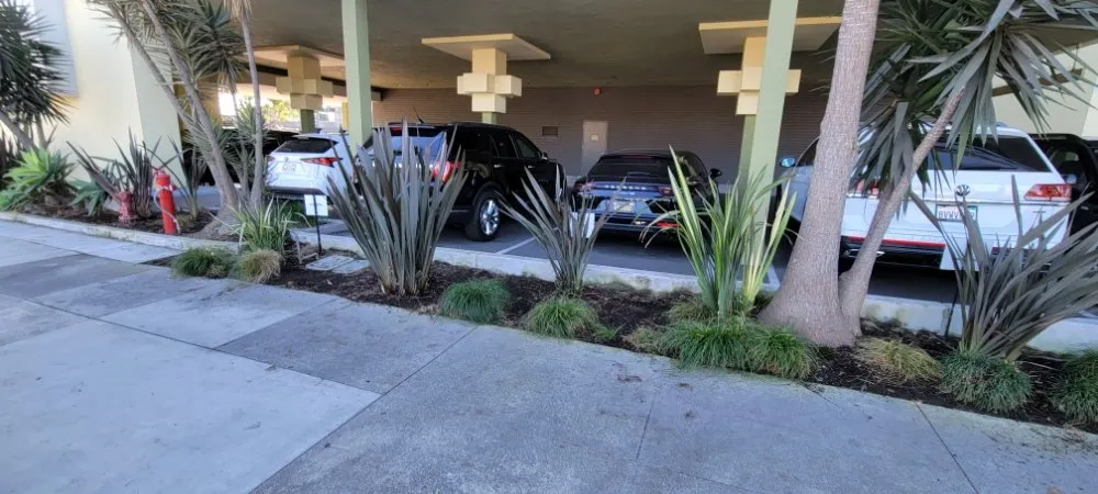 Custom landscape installation in Anaheim, CA by CG Landscape