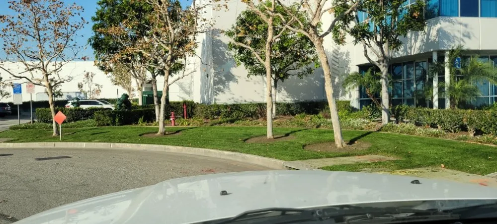 Expert garden landscaping in Anaheim, CA by CG Landscape