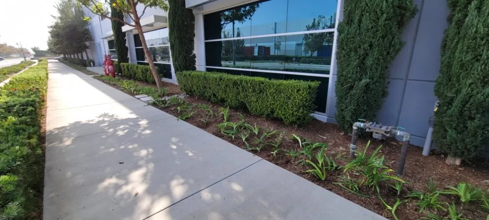 Custom garden landscaping with custom design in Anaheim, CA by CG Landscape