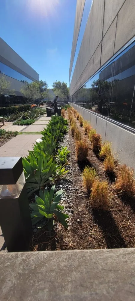 Top-rated yard maintenance in Anaheim, CA by CG Landscape