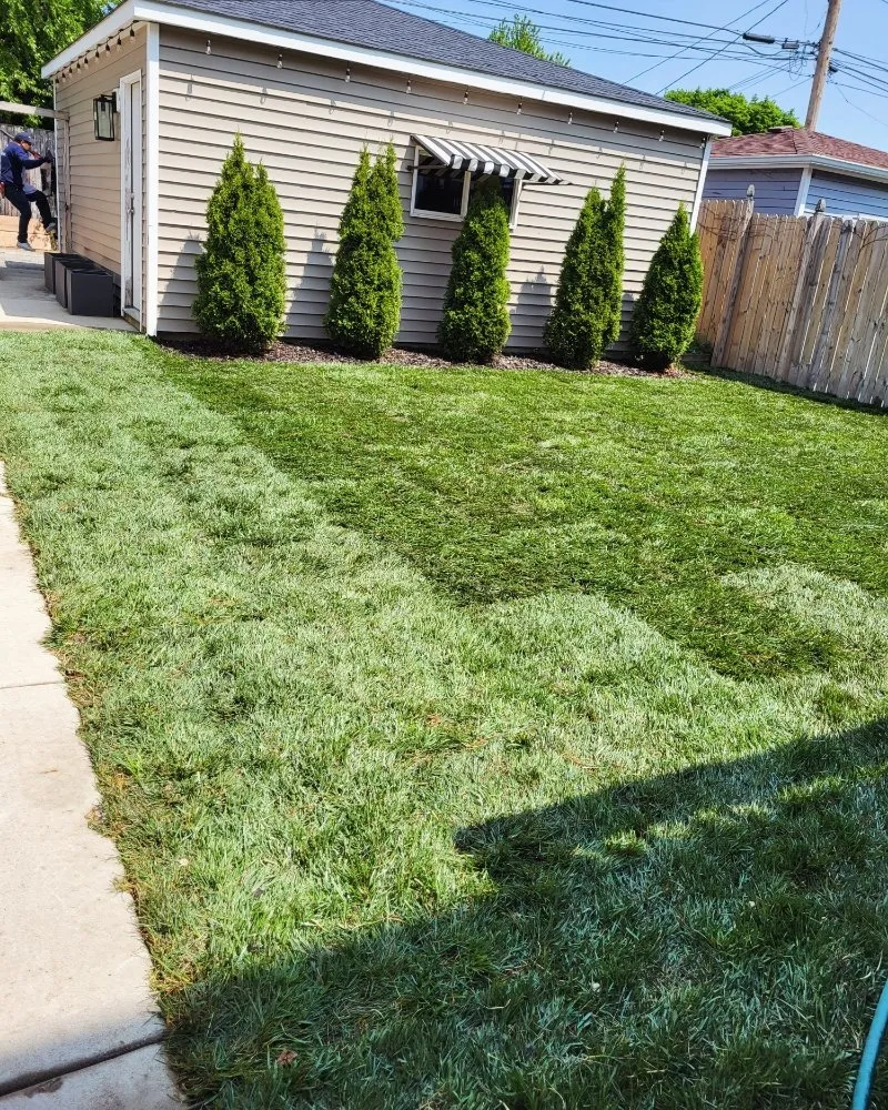 Trusted yard cleanup service with custom design across Cicero, IL - CG Landscape