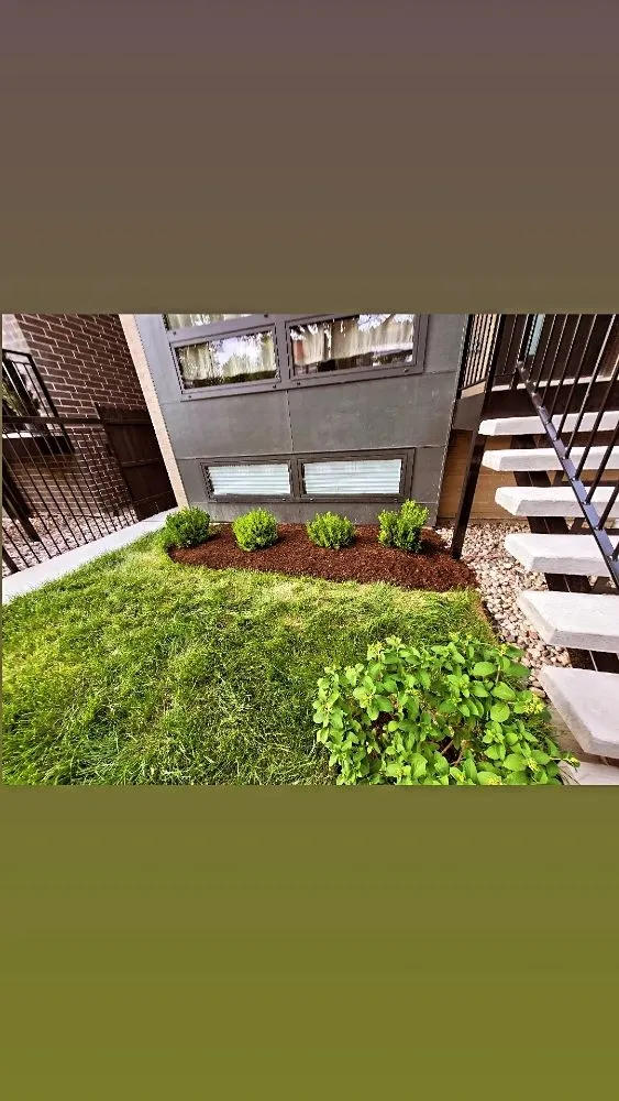 Custom yard maintenance experts serving Cicero, IL - CG Landscape