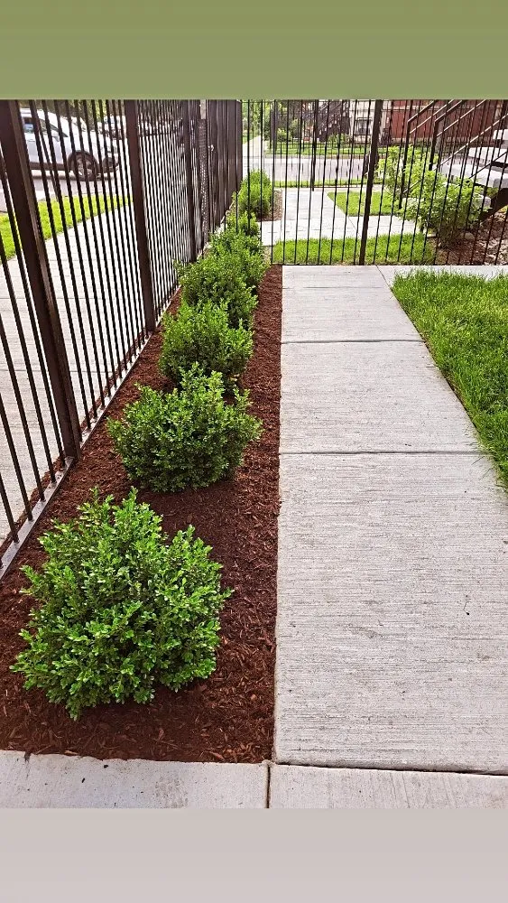 Trusted residential landscaping in Cicero, IL - CG Landscape
