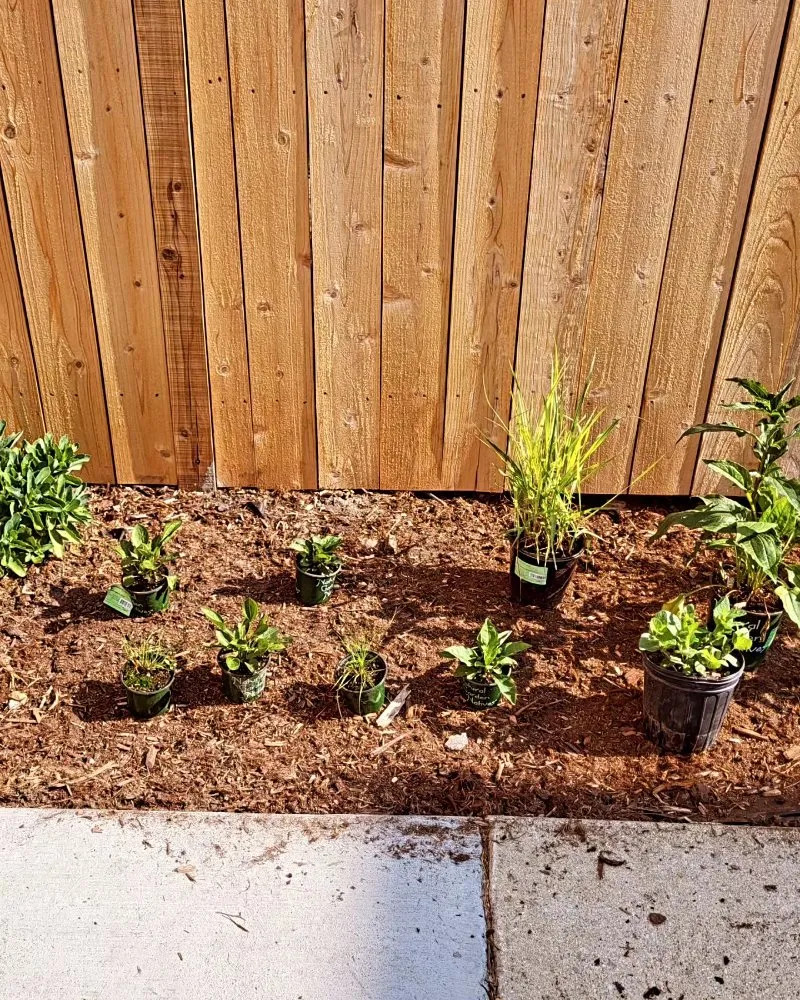 Top-rated residential landscaping with custom design across Cicero, IL - CG Landscape