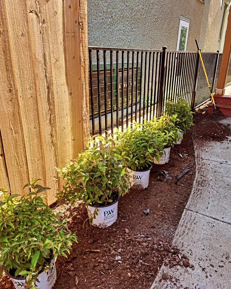 Top-rated outdoor landscaping in Cicero, IL - CG Landscape