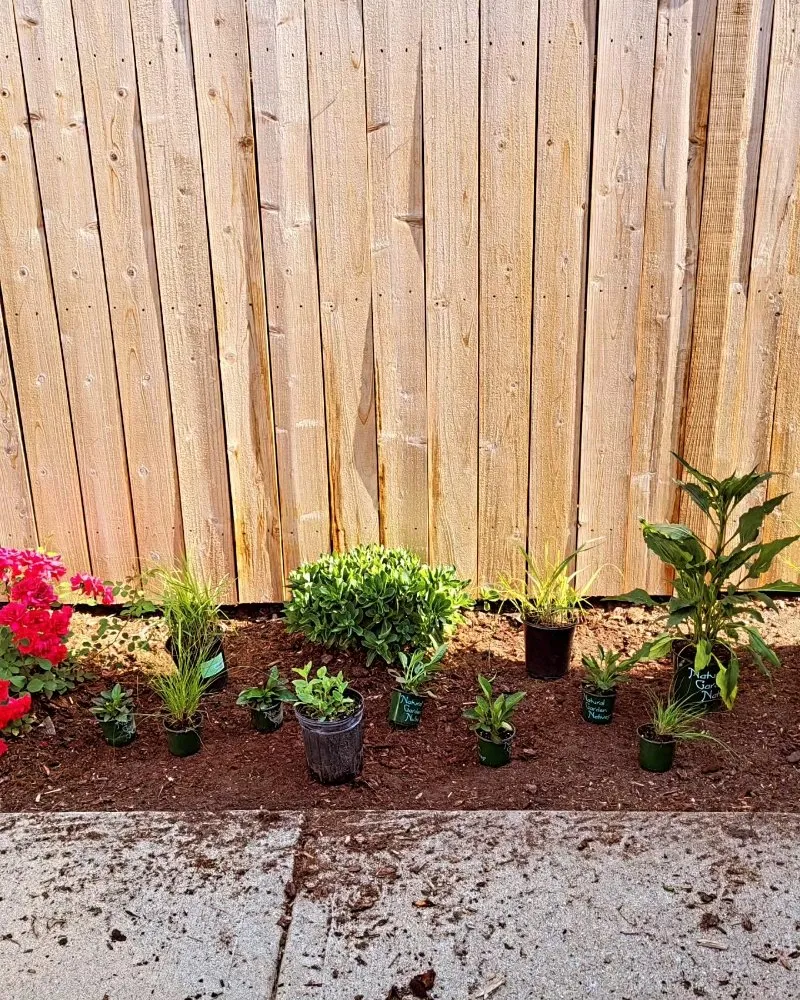 Top-rated yard maintenance for year-round maintenance in Cicero, IL by CG Landscape