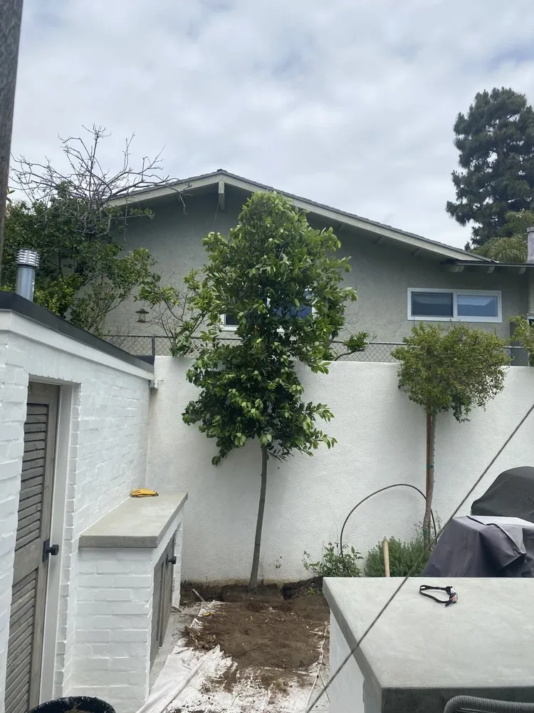 Reliable lawn mowing service in Los Angeles, CA - C&G Landscape