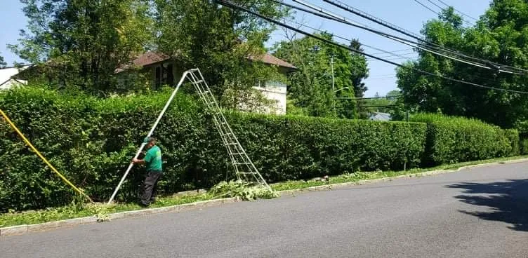 Trusted lawn care service in White Plains, NY by C&G Landscape Services