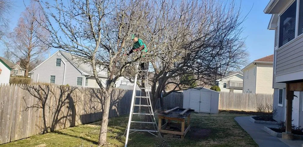 Expert landscape design in White Plains, NY by C&G Landscape Services