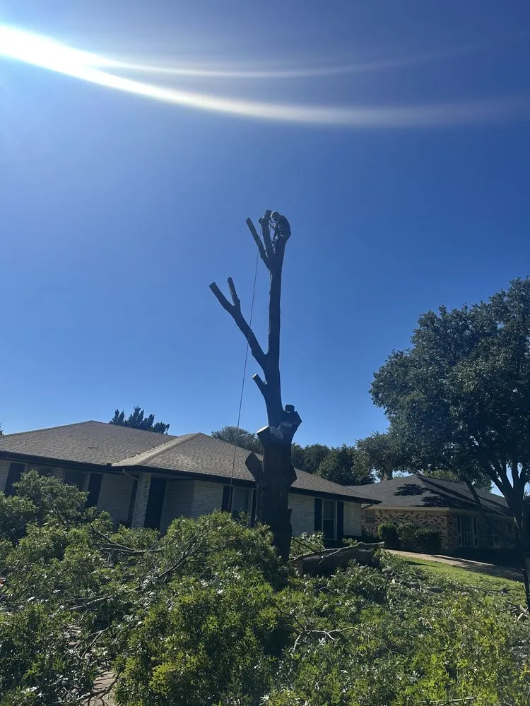 Expert yard cleanup service for residential properties across North Richland Hills, TX - C&G Landscaping