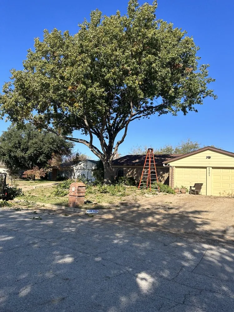 Local outdoor landscaping in North Richland Hills, TX - C&G Landscaping