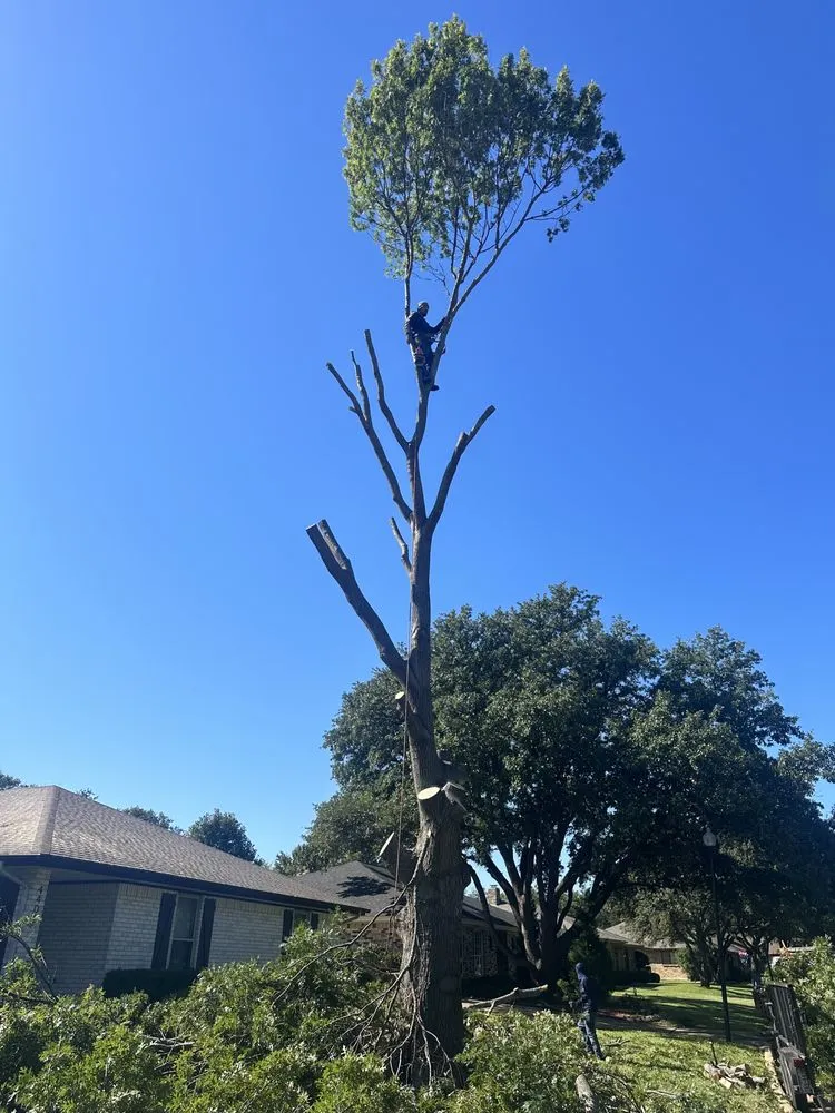 Local residential landscaping for residential properties across North Richland Hills, TX - C&G Landscaping