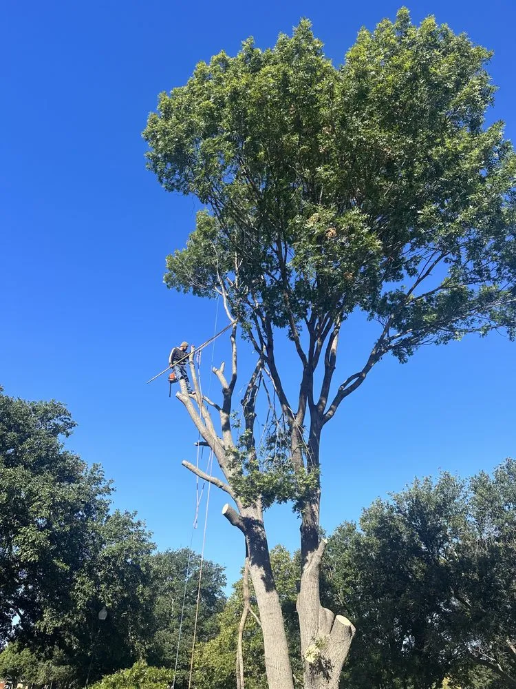 Professional garden landscaping for homes in North Richland Hills, TX by C&G Landscaping