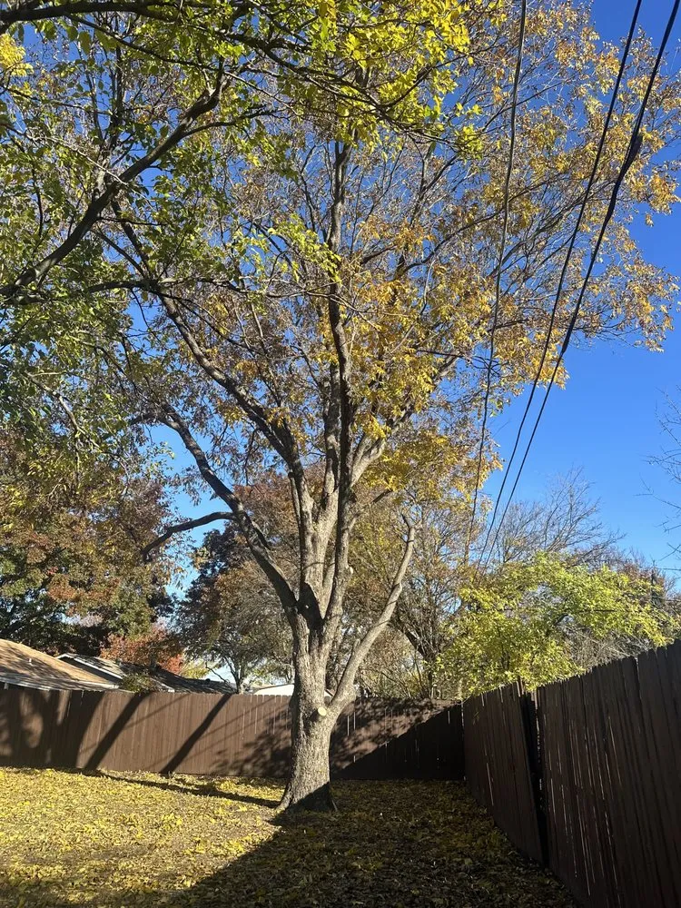 Local lawn care service for residential properties in North Richland Hills, TX by C&G Landscaping