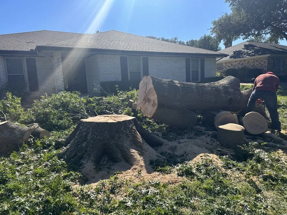 Local yard cleanup service with custom design across North Richland Hills, TX - C&G Landscaping