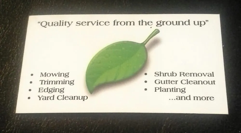 Trusted yard cleanup service in Springfield, IL by CG Landscaping