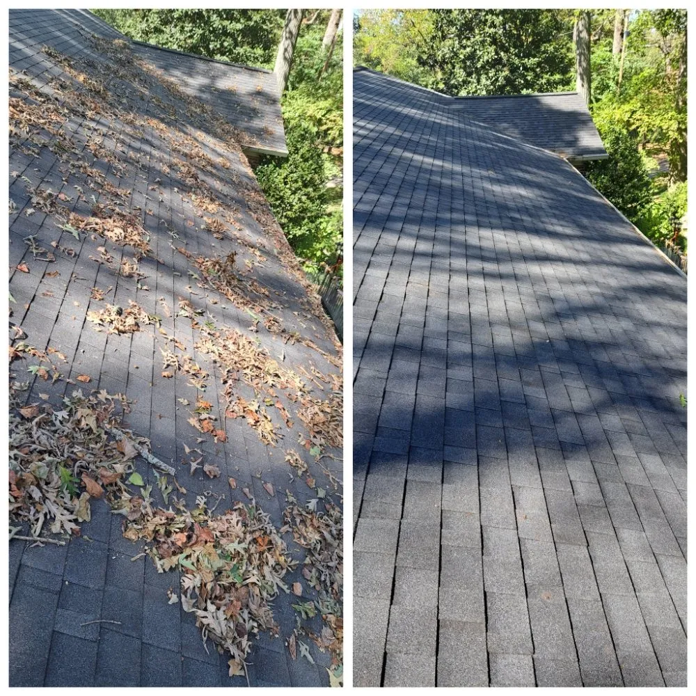 Expert outdoor landscaping for year-round maintenance in Newton, NC by CG Lawn & Gutters